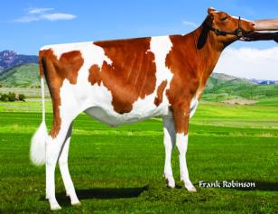 FARGO ROJO — 750016434